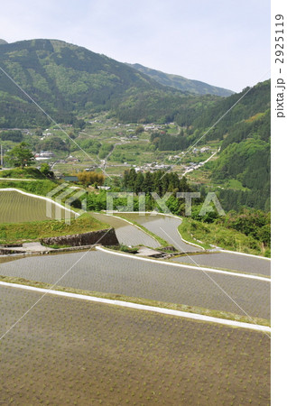 八畝の棚田 八畝の棚田 2925119