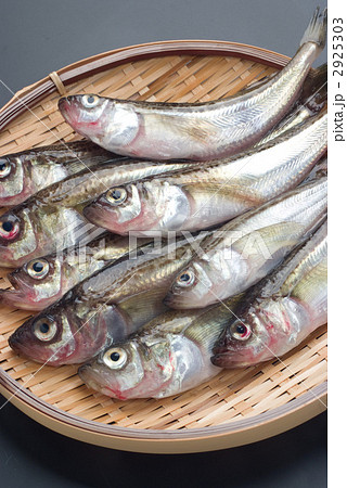 はたはた 2925303