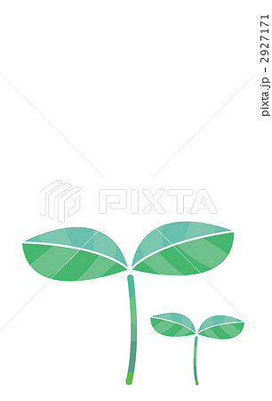 二葉 若葉 芽のイラスト素材