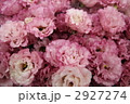 2927274