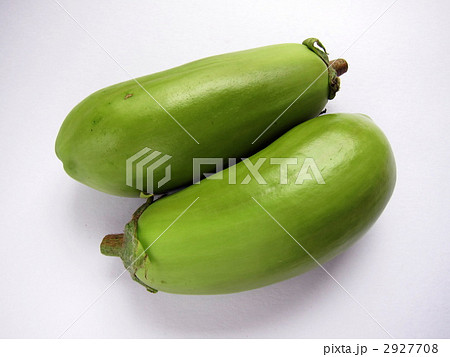 ヒスイ茄子 2927708