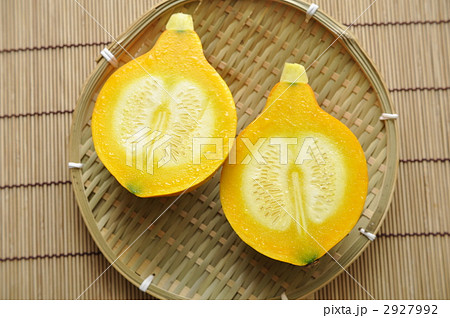 コリンキー 2927992