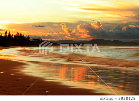 ゴールドコースト ゴールドコースト 2928128