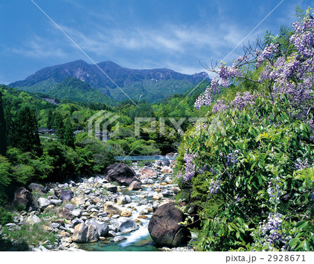 新緑の祝子川渓谷 2928671