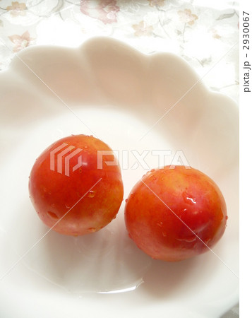 プラム 2930067