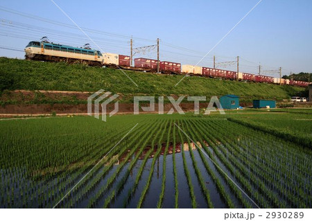 貨物列車 2930289