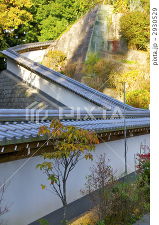 円覚寺墓所への九十九折りの参道 2930529