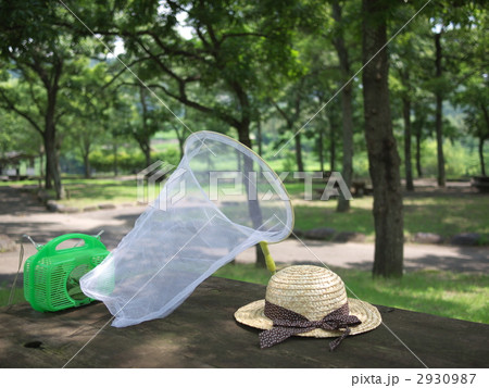 キャンプ場 2930987