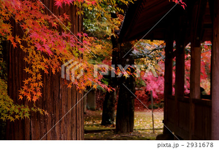 一乗寺の紅葉 一乗寺の紅葉 2931678