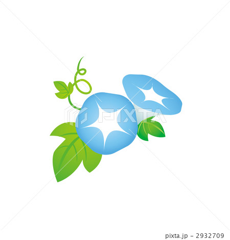 水色のアサガオのイラスト 2932709