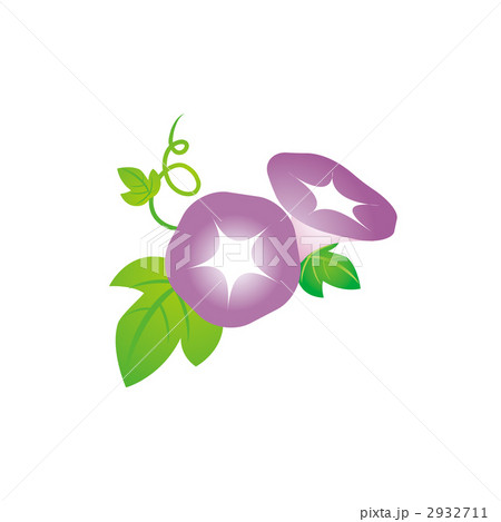 紫のアサガオのイラスト 紫のアサガオのイラスト 2932711