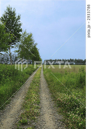 田舎道 2933786