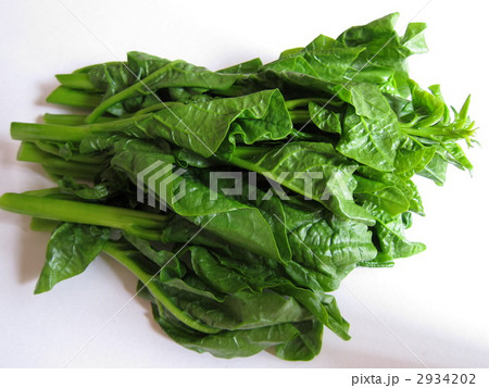 つるむらさき 2934202