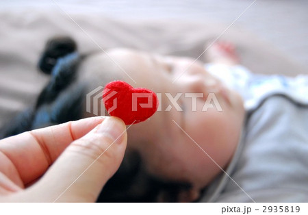 お昼寝 お昼寝 2935819