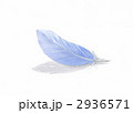 青い羽根 2936571