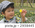タンポポの花を見つめる子供 2938445