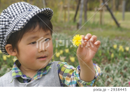 タンポポの花を見つめる子供 2938445