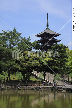 興福寺五重塔と猿沢池 2938489