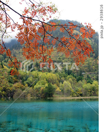 九寨溝の紅葉 2938616