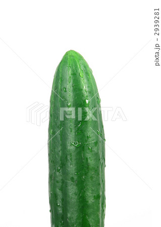 水滴のついた胡瓜 2939281