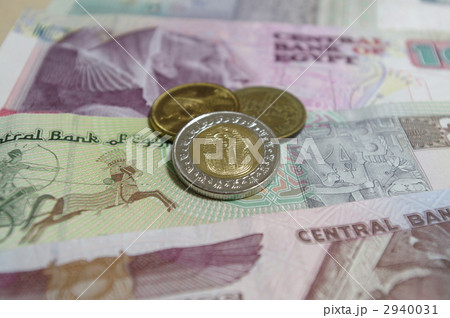 エジプドポンド 2940031