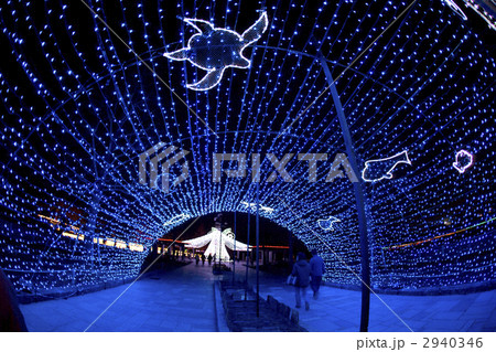 クリスマスイルミネーション クリスマスイルミネーション 2940346