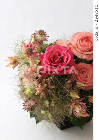 Old Country Pink Rose 2942511