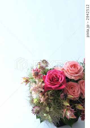 Old Country Pink Rose Old Country Pink Rose 2942512