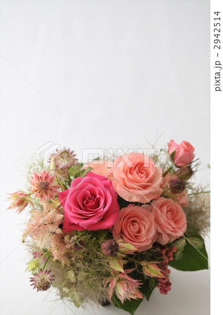 Old Country Pink Rose Old Country Pink Rose 2942514