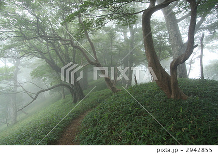 修験の道 修験の道 2942855