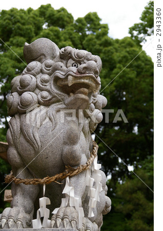 狛犬 2943360