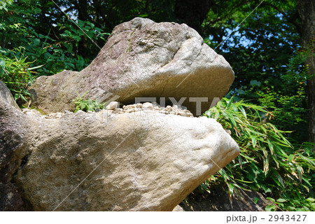 筑波山のガマ石 筑波山のガマ石 2943427