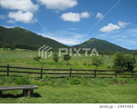 蒜仙高原 2943483