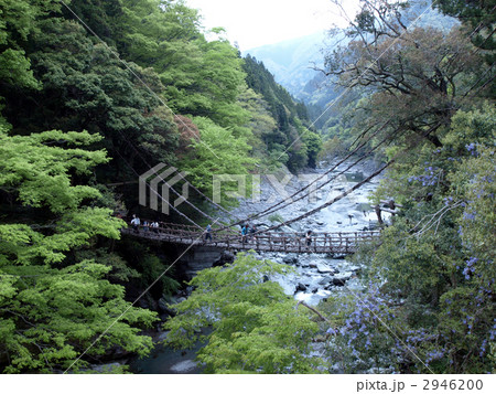 祖谷のかずら橋 2946200