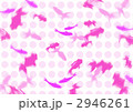 金魚 2946261
