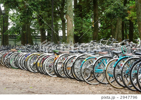 自転車置き場 自転車置き場 2947796