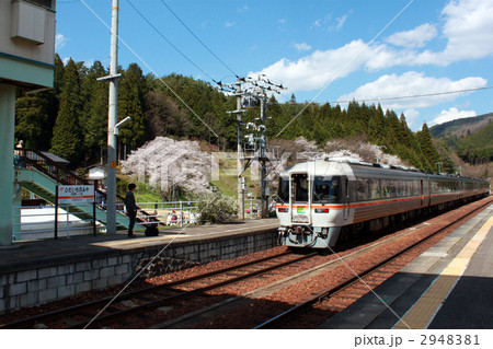 特急ひだと臥龍桜 2948381