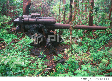 小笠原諸島・母島　探照灯下砲台 2948441