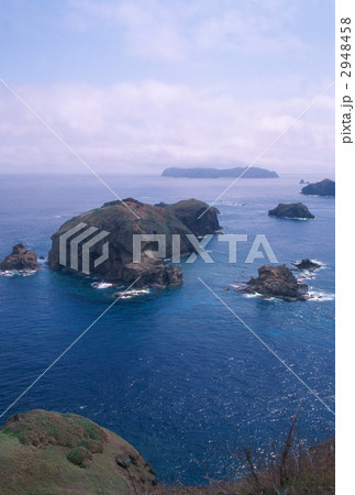 小笠原諸島・母島　南崎 2948458