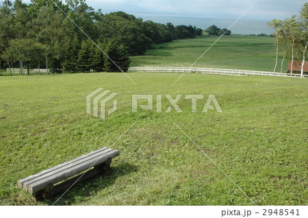草原に佇む木製ベンチと牧場風景 草原に佇む木製ベンチと牧場風景 2948541