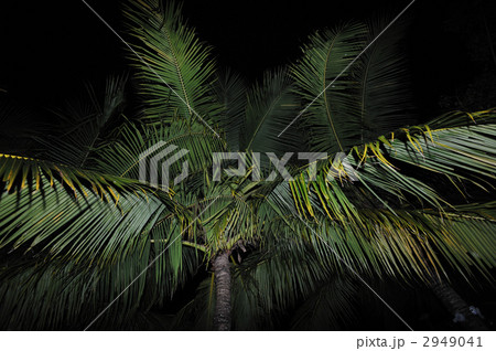 セブ リゾートホテル セブ リゾートホテル 2949041