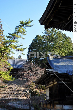神護寺　五大堂と金堂 2949784