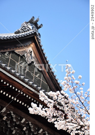 南禅寺　法堂 2949902