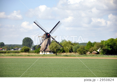 オランダの風車 2950824