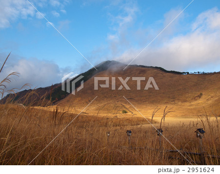 曽爾高原 2951624