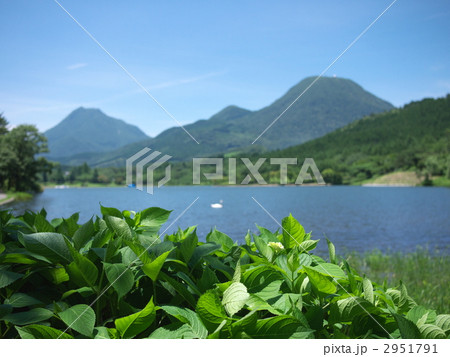 志高湖 2951791