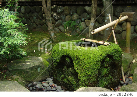 6月 茶庭 つくばい 手水鉢15茶庭の写真素材