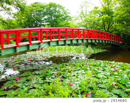 八郎沼公園 八郎沼公園 2954680