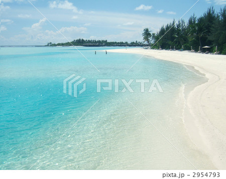 モルディブのビーチ モルディブのビーチ 2954793