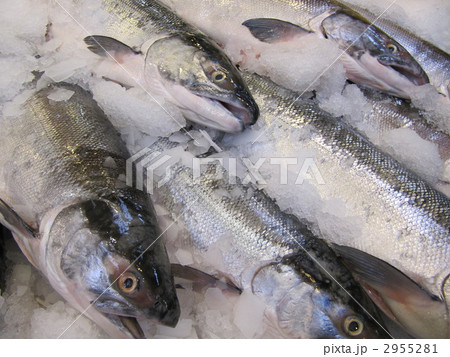 新鮮な市場のサーモン 2955281